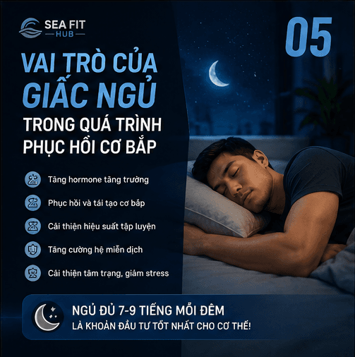 Vai Trò Của Giấc Ngủ Trong Quá Trình Phục Hồi Cơ Bắp