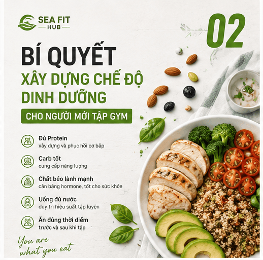 Bí Quyết Xây Dựng Chế Độ Dinh Dưỡng Cho Người Mới Tập Gym